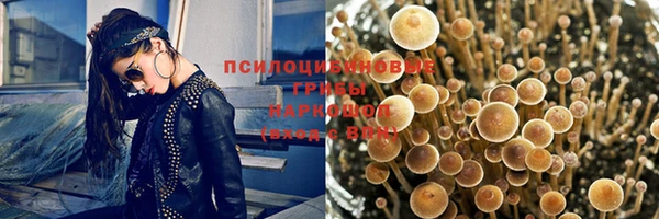 стафф Алзамай