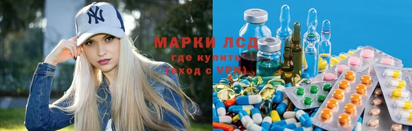 стафф Алзамай