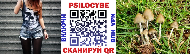 Псилоцибиновые грибы Magic Shrooms  как найти наркотики  блэк спрут вход  Домодедово 